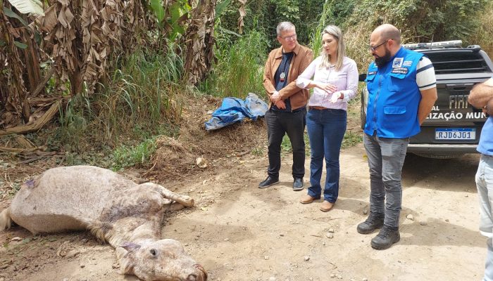 15.09.2025. cavalo encontrado morto (4)