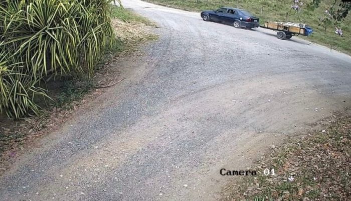 Câmera flagrou suspeitos em estrada levando o animal numa carroça