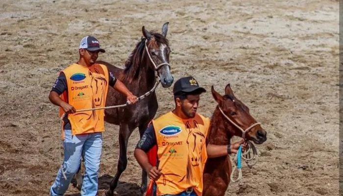 20b9842f-f183-4ec6-96ea-8759c29f9e12 (1)