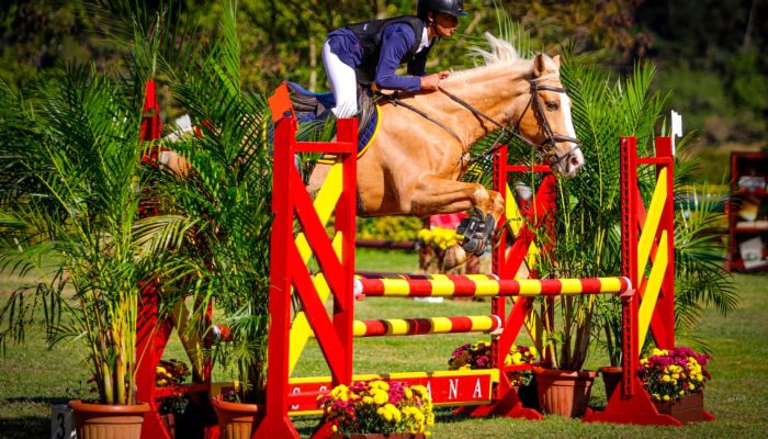 Fotos de Divulgação – Secom/PMVR.