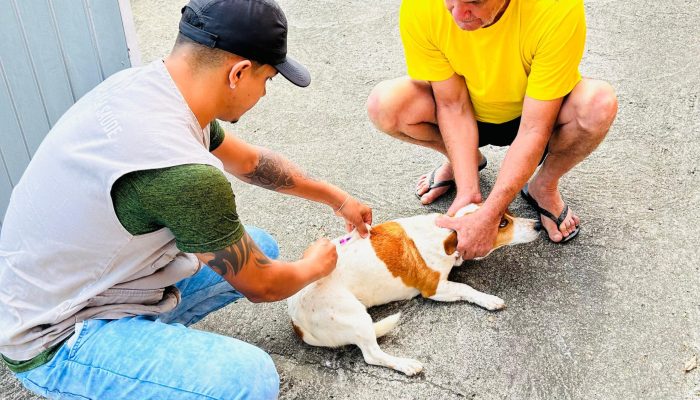 WhatsApp Image 2025-08-27 at 16.51.44 (2)