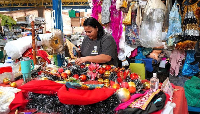 Foto de Geraldo Gonçalves – Secom/PMVR.